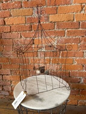 Decorative wire “Songbird Pavilion “ birdcage